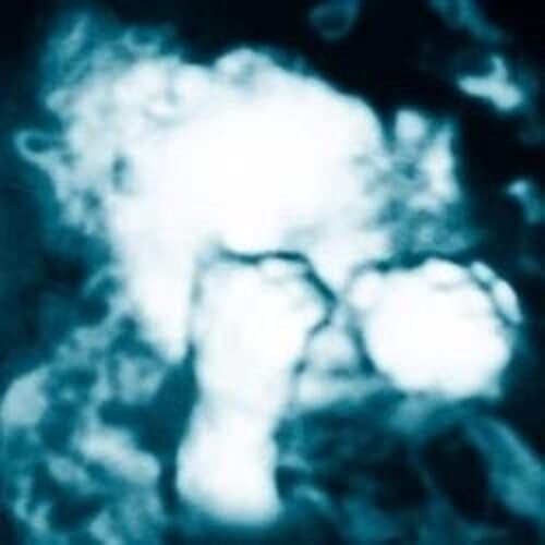 Nino Reptil Angel cover art