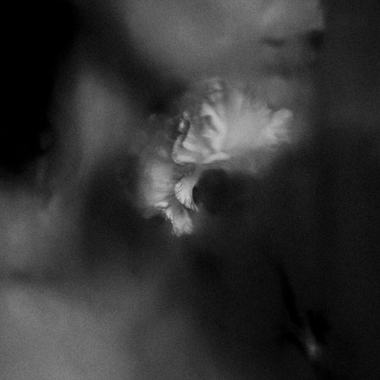 Holding Absence [Clear & Black Splatter Vinyl] cover art