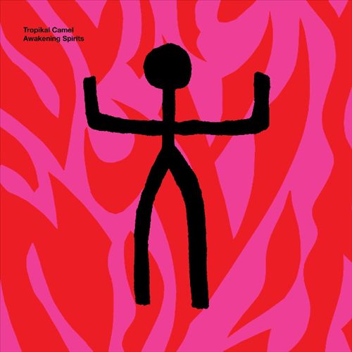 Awakening Spirits cover art