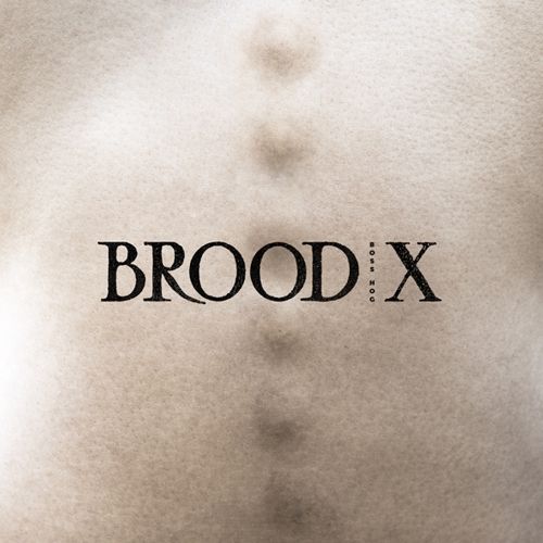 Brood X cover art