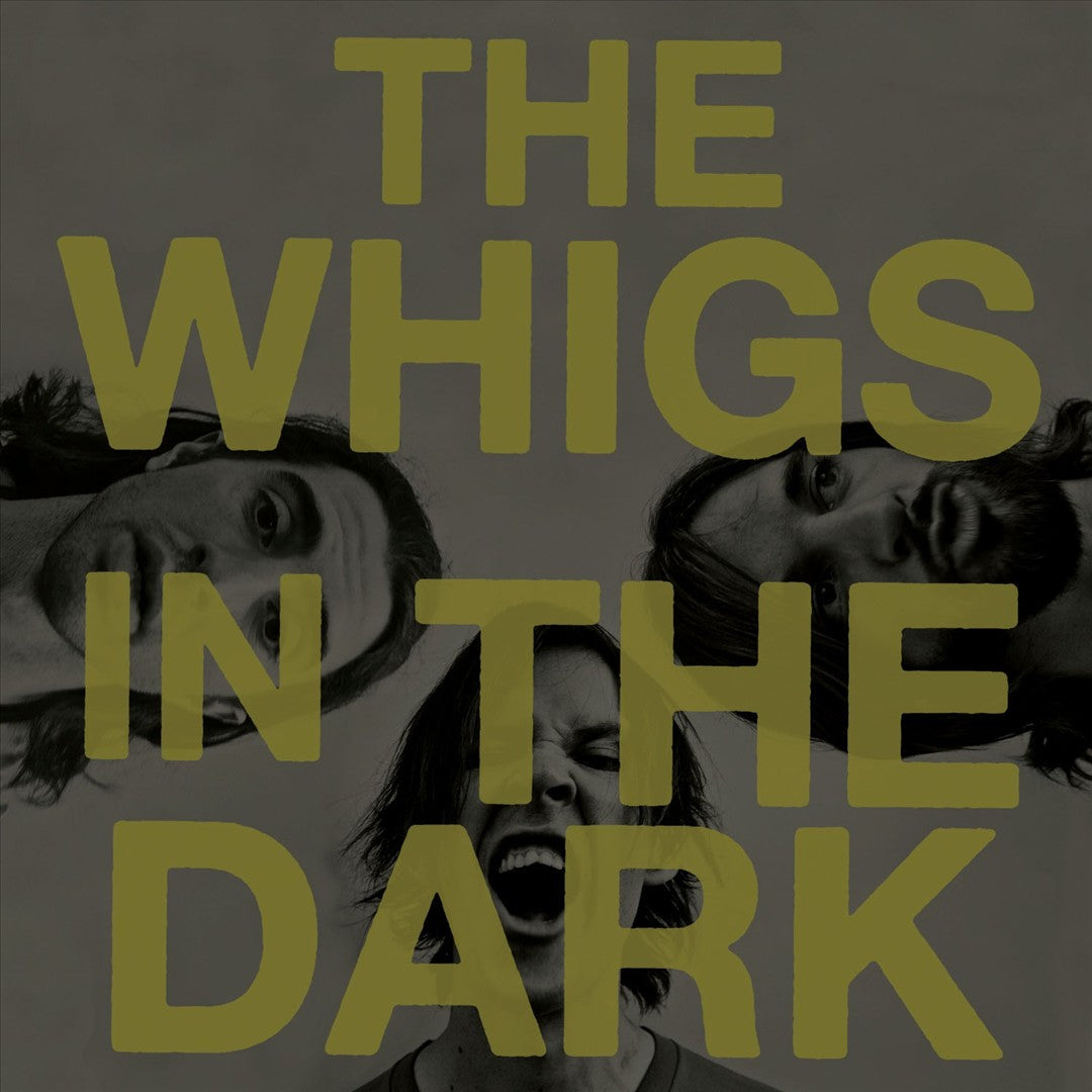 In the Dark cover art