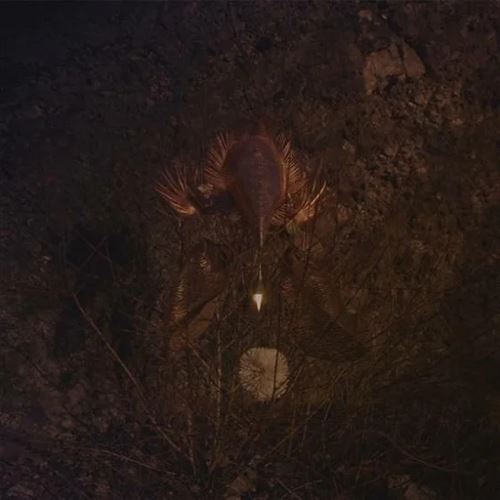 Ampire [Black & Neon Green Splatter Vinyl] cover art