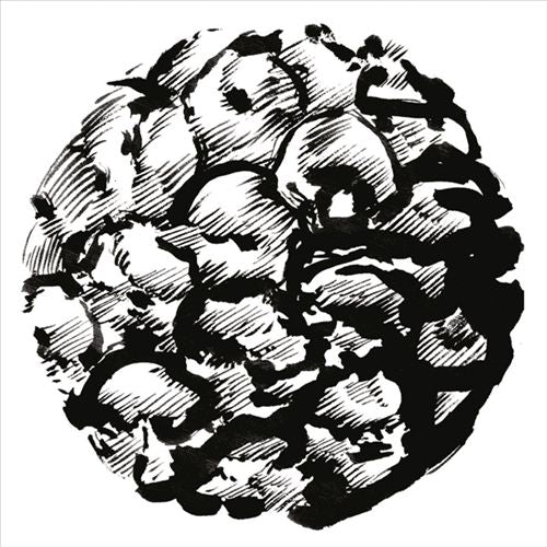 Calypso cover art