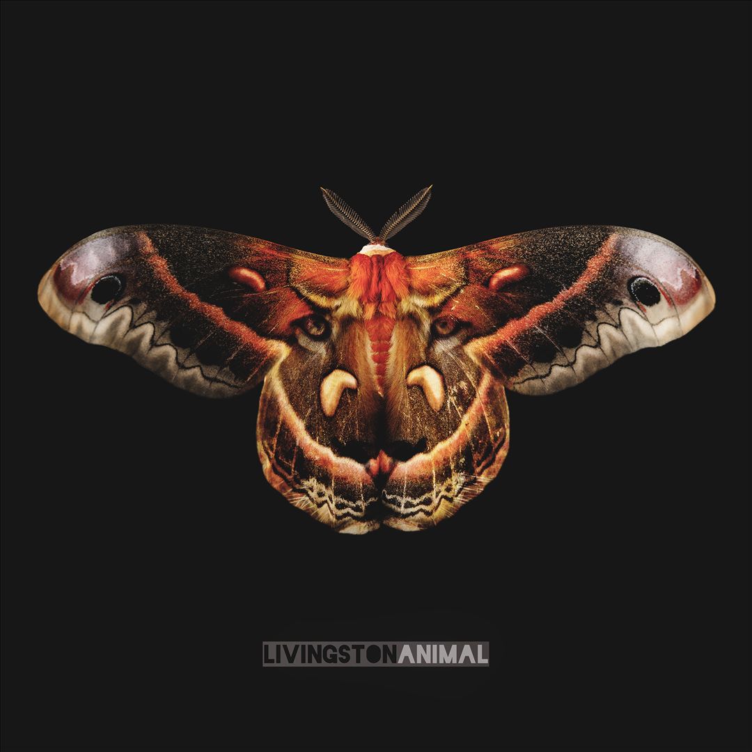 Animal cover art