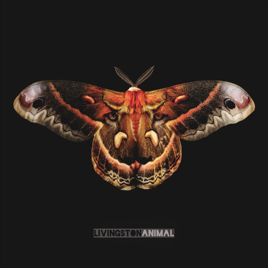 Animal cover art