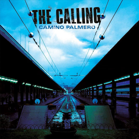Camino Palmero cover art