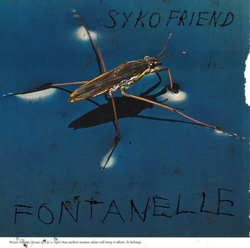 Fontanelle cover art