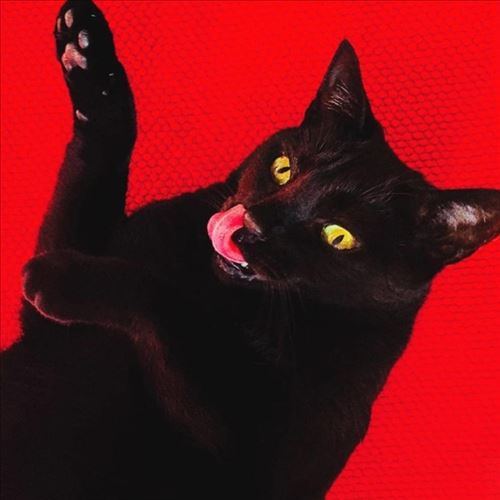 Big Colors cover art