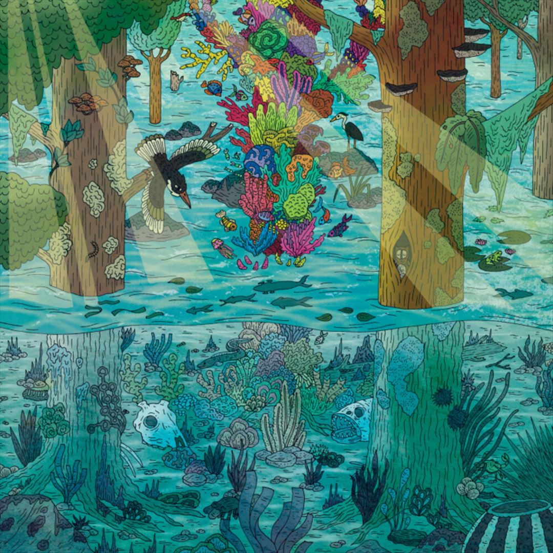 Shackamaxon Concert cover art