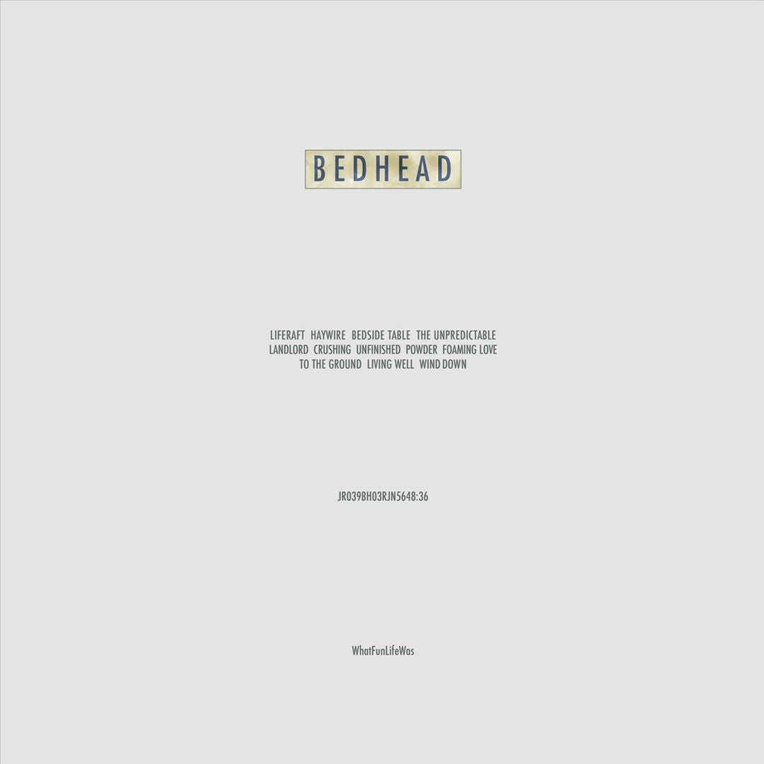 What Fun Life Was cover art