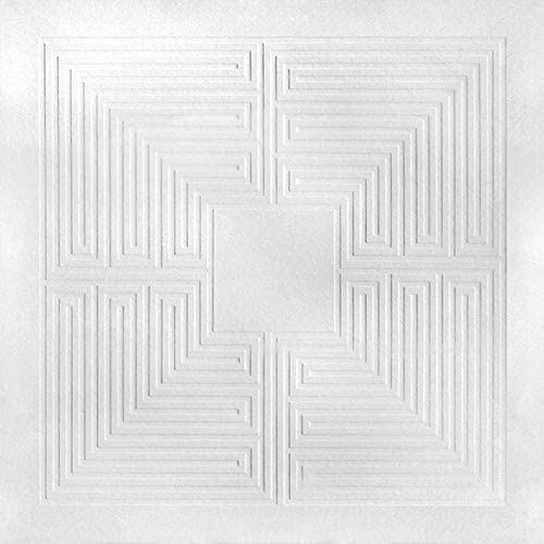 Hidden cover art