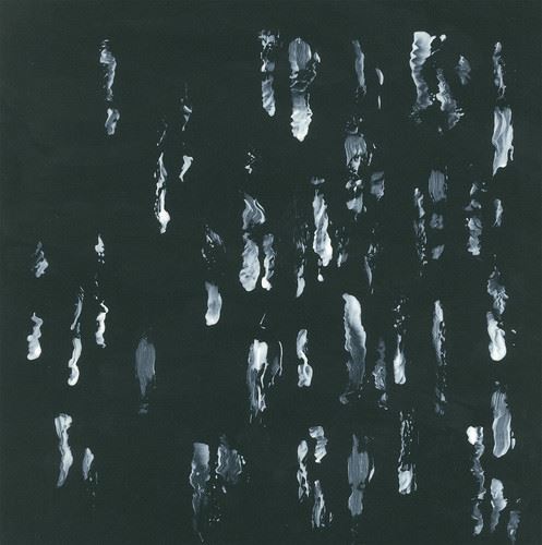 Amusers and Puzzlers cover art