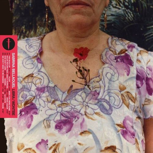 Libra/WDNTBE cover art