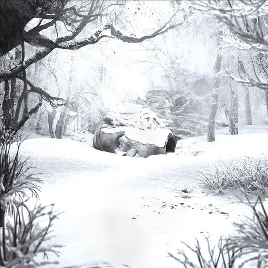 SZNZ: Winter  cover art