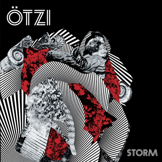 Storm cover art