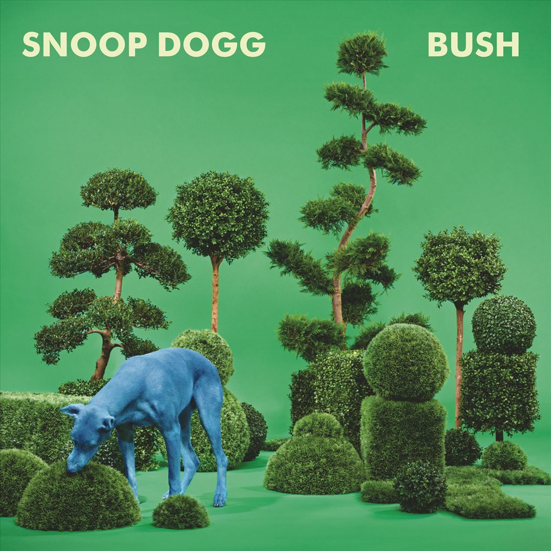 Bush cover art