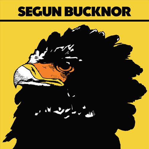 Segun Bucknor cover art