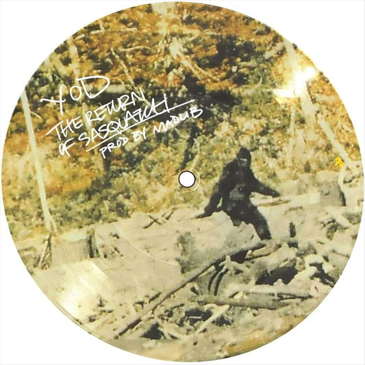 Return of Sasquatch cover art