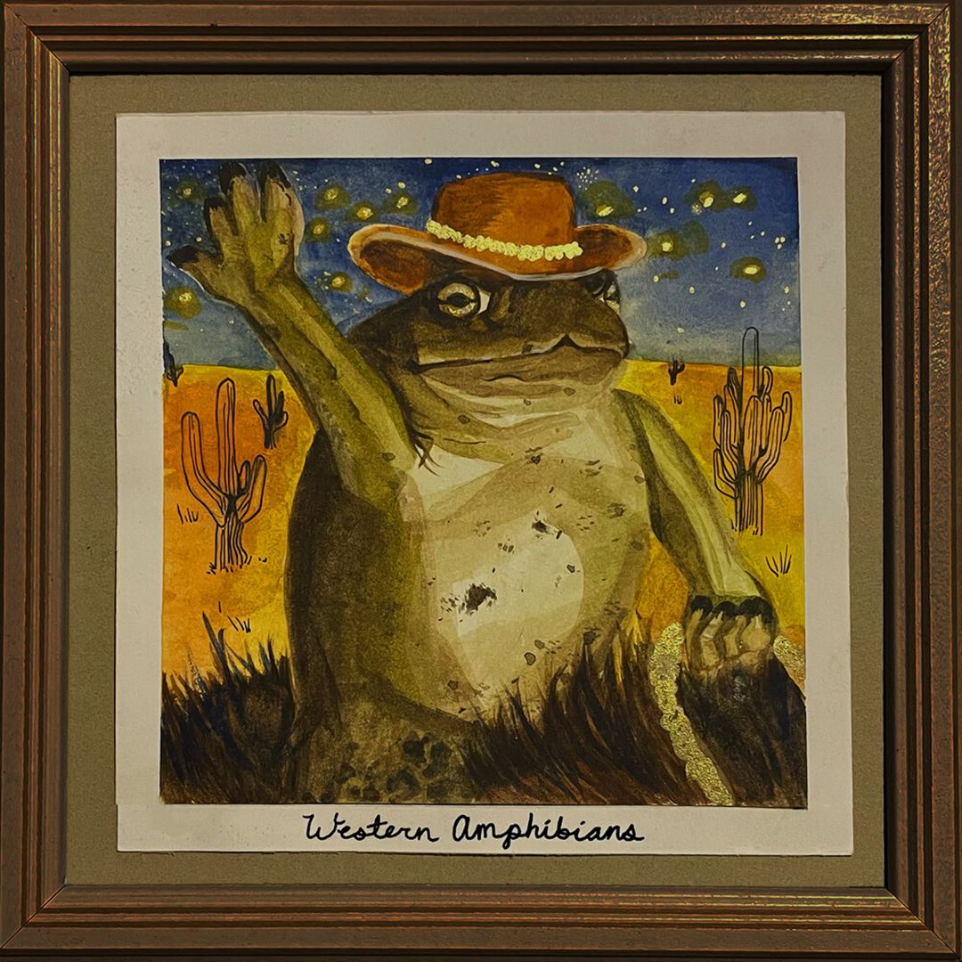 Western Amphibians cover art