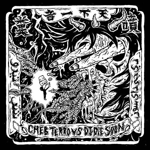 Cheb Terro Vs DJ Die Soon cover art