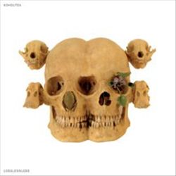 Lossless Loss cover art