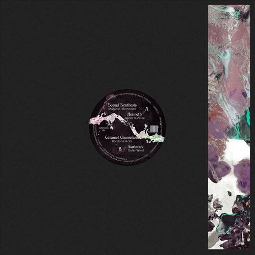 Acid Explorations cover art