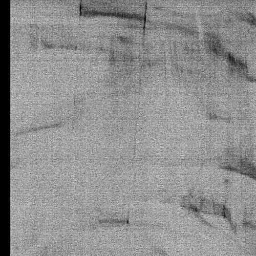 Parallel Darks cover art