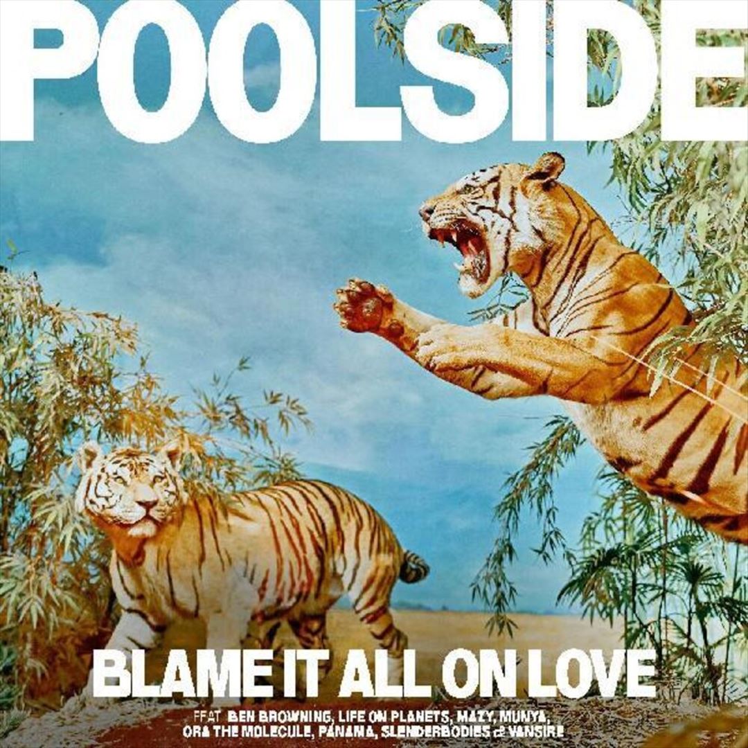 Blame It All on Love cover art