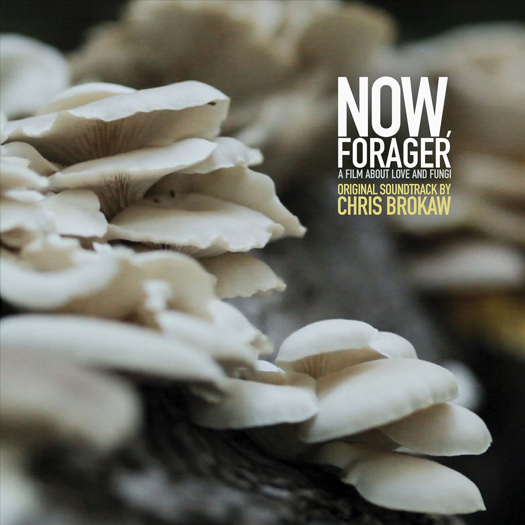 Now, Forager cover art