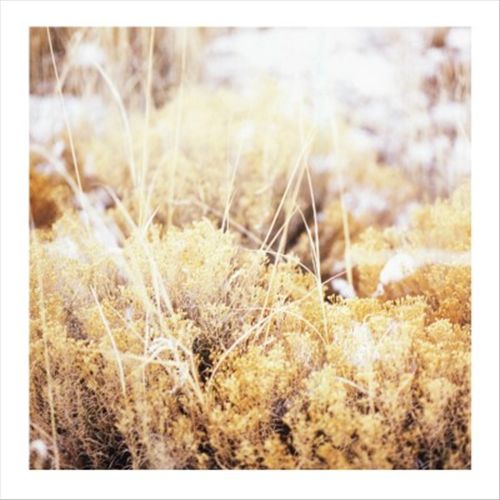 Brilliant Tabernacle cover art