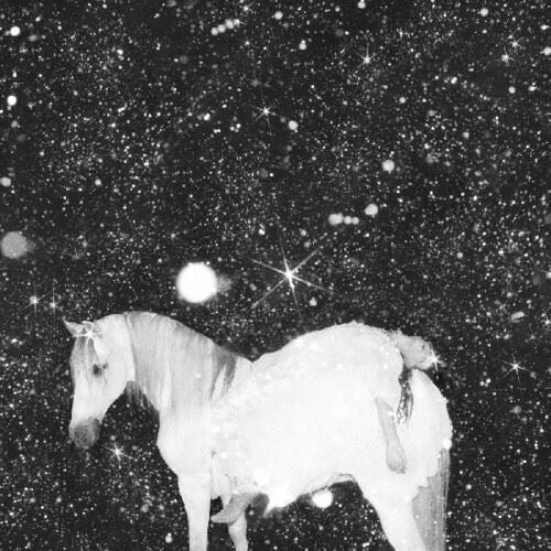 Apocalypse Love cover art