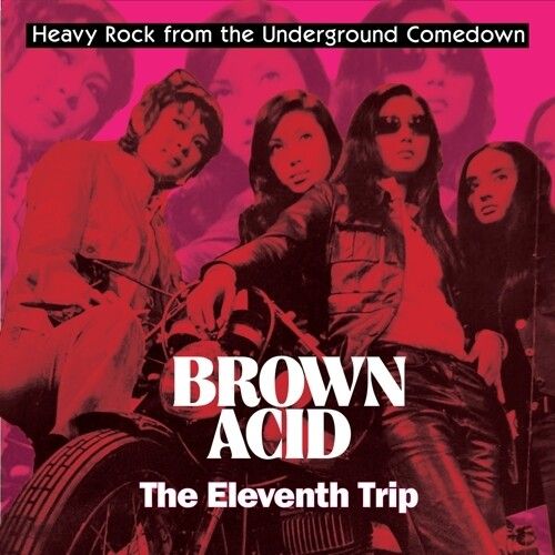 Brown Acid: The Eleventh Trip cover art
