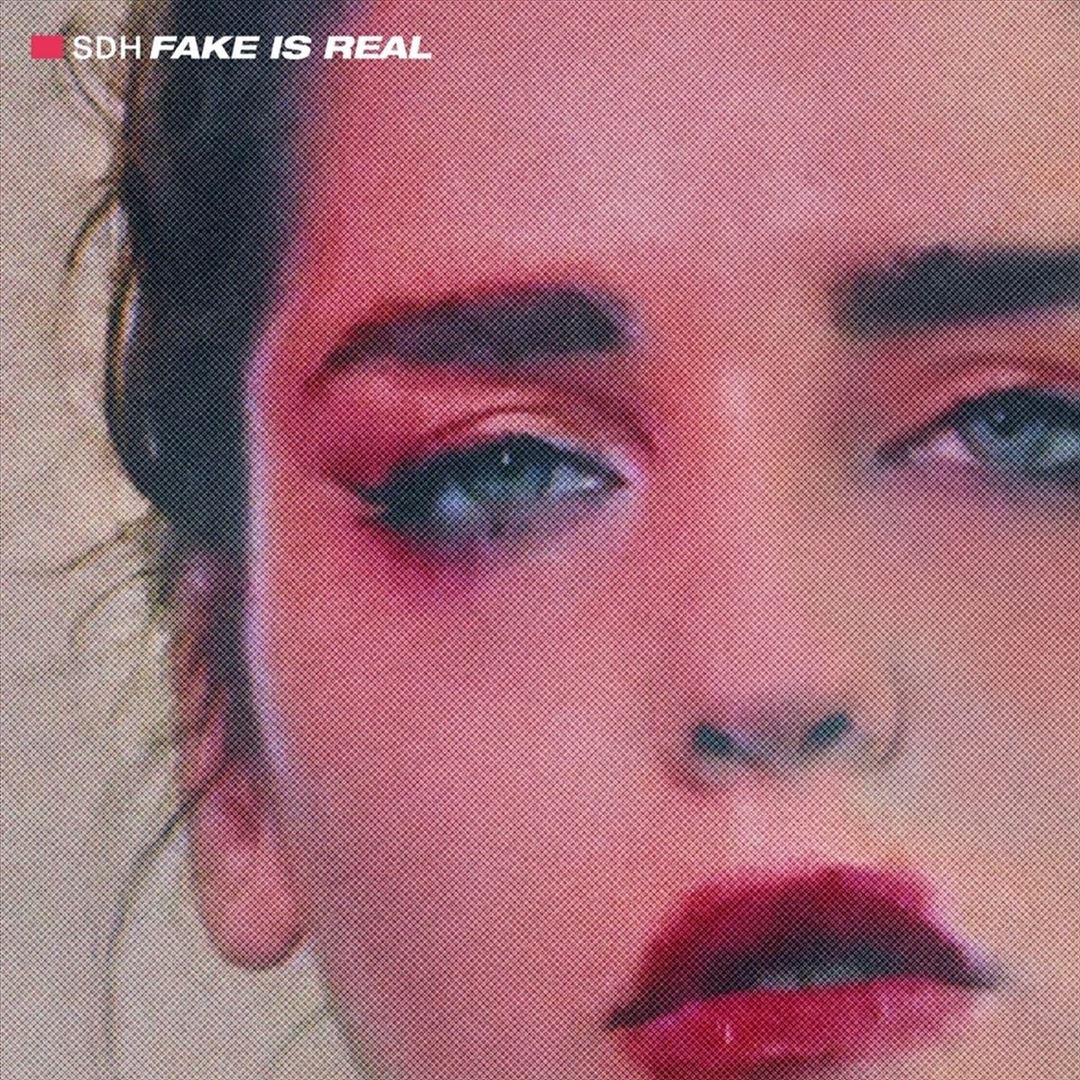 Fake Is Real cover art