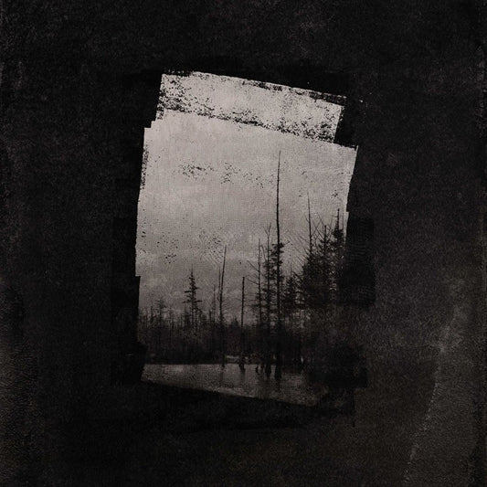 Capture [Marble Grey Vinyl] cover art