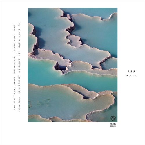 Zebra cover art