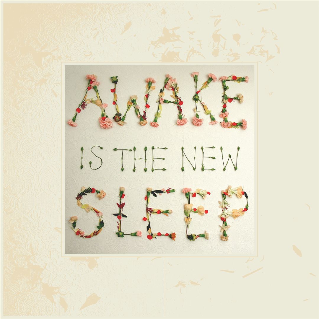 Awake Is the New Sleep [Tenth Anniversary Edition] [2 LP] cover art