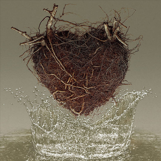canciones del agua cover art