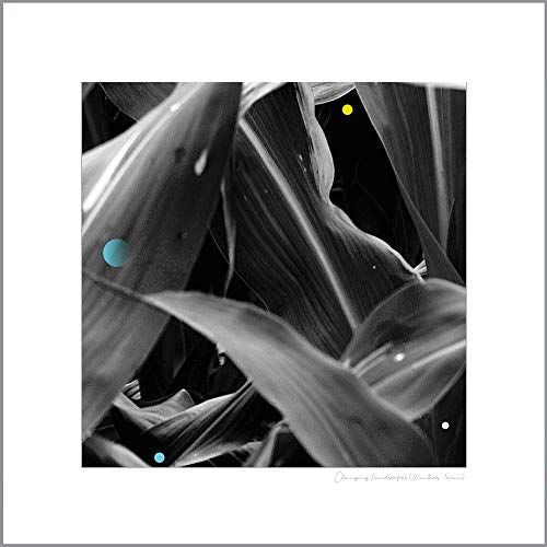 Changing Landscapes (Wauters Farm) cover art
