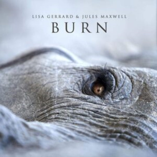 BURN (WHITE) cover art