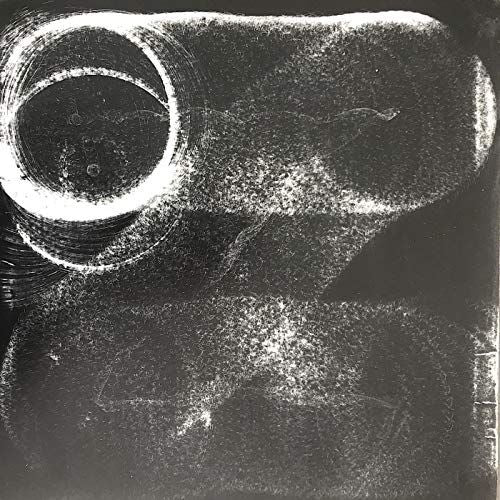 13 Million Year Old Ghost cover art