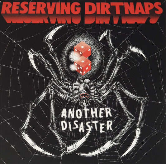 Another Disaster cover art