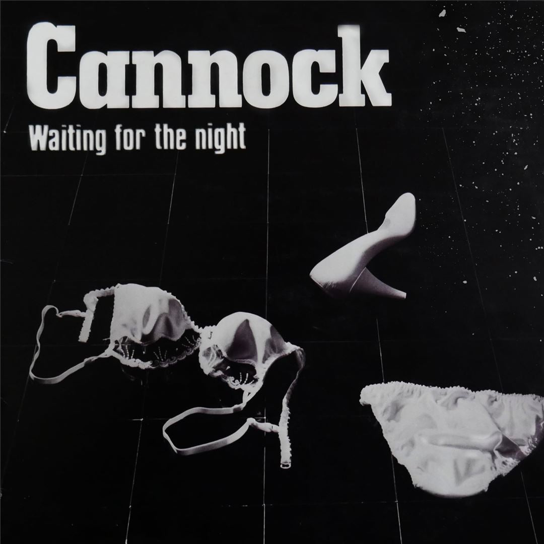 Waiting for the Night cover art