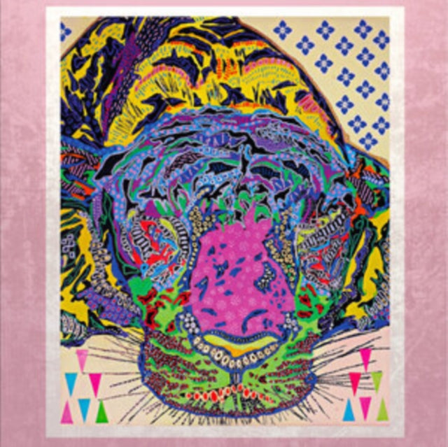 3 STEP ANDY cover art