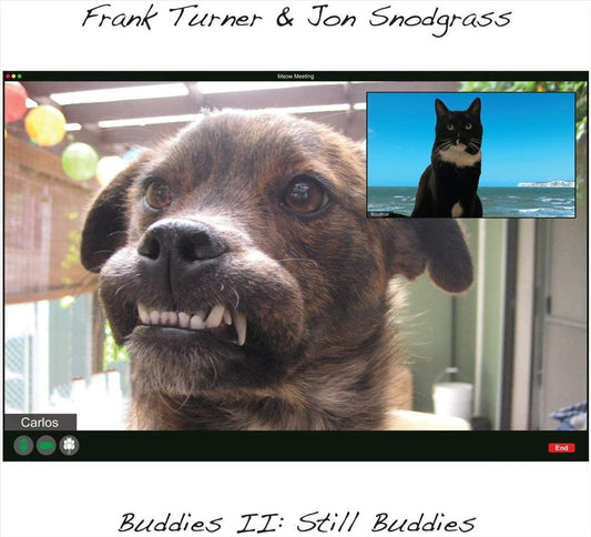 Buddies Vol.2: Still Buddies cover art