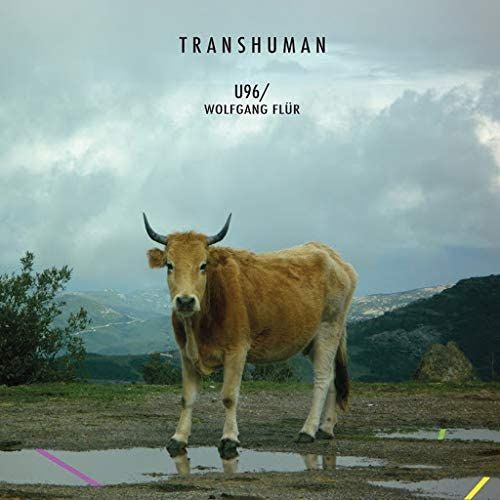 Transhuman cover art