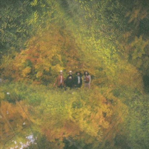 Au Revoir Cowboys cover art