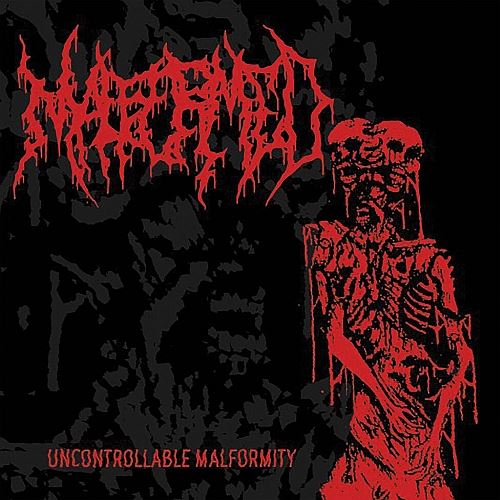 Uncontrollable Malformity cover art