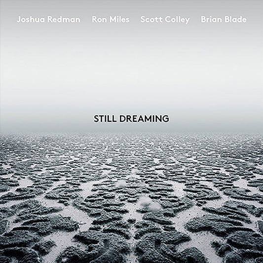 Still Dreaming cover art