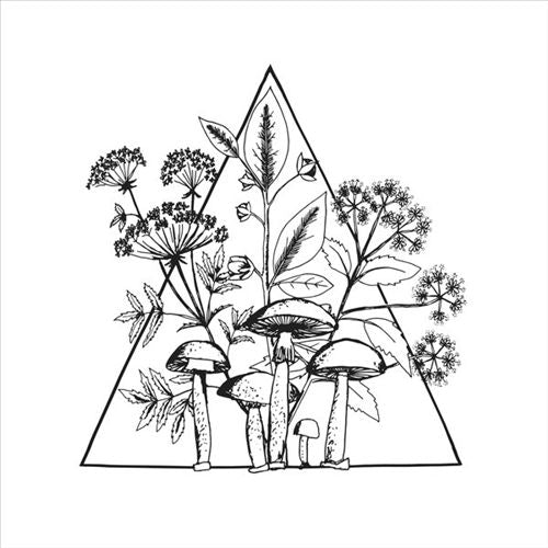 Cassette cover art