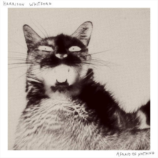 Afraid of Nothing cover art